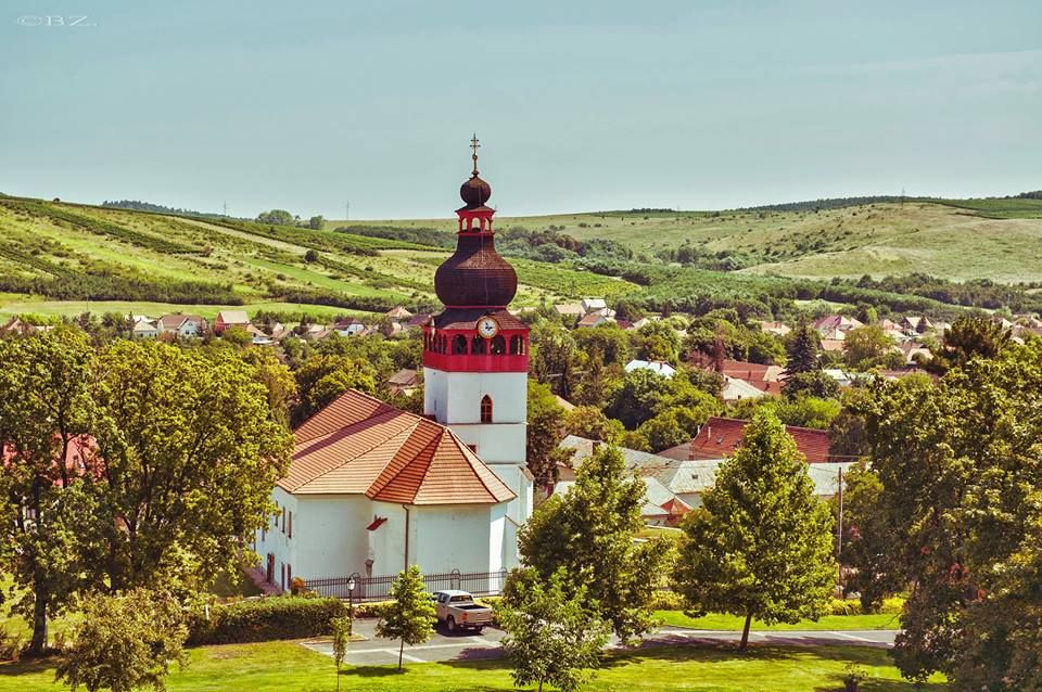 Tokaj Private Day Tour from Budapest - Inside a Tokaj Cellar: Learning What You Taste
