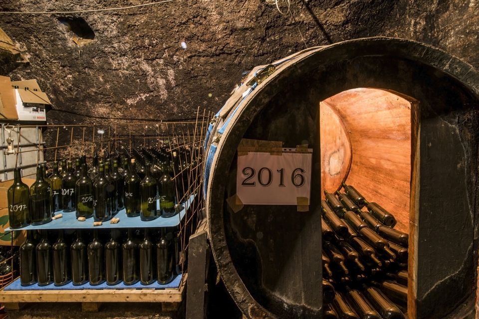 Tokaj Private Day Tour from Budapest - The 4-Wine Tasting: How to Get More Out of Each Sip