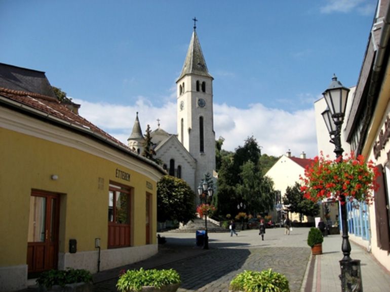Tokaj Private Day Tour from Budapest - Languages and Private-Group Comfort