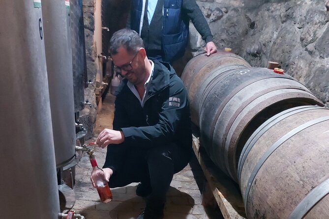 Wine Tasting in the Countryside from Budapest - Quick reasons this works so well