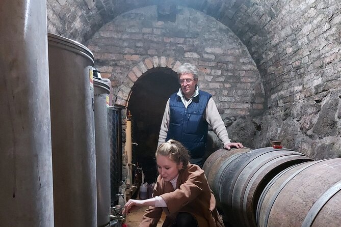 Wine Tasting in the Countryside from Budapest - Winery visits and tastings: whites, rosé, reds, and the food that keeps it moving