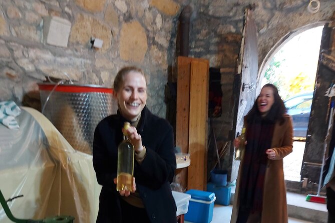 Wine Tasting in the Countryside from Budapest - Paty countryside feel: short drive, countryside vibe